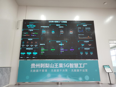 深耕四張精品網 助力中國式現代化開新篇 走進云上之城的數據處理與存儲服務